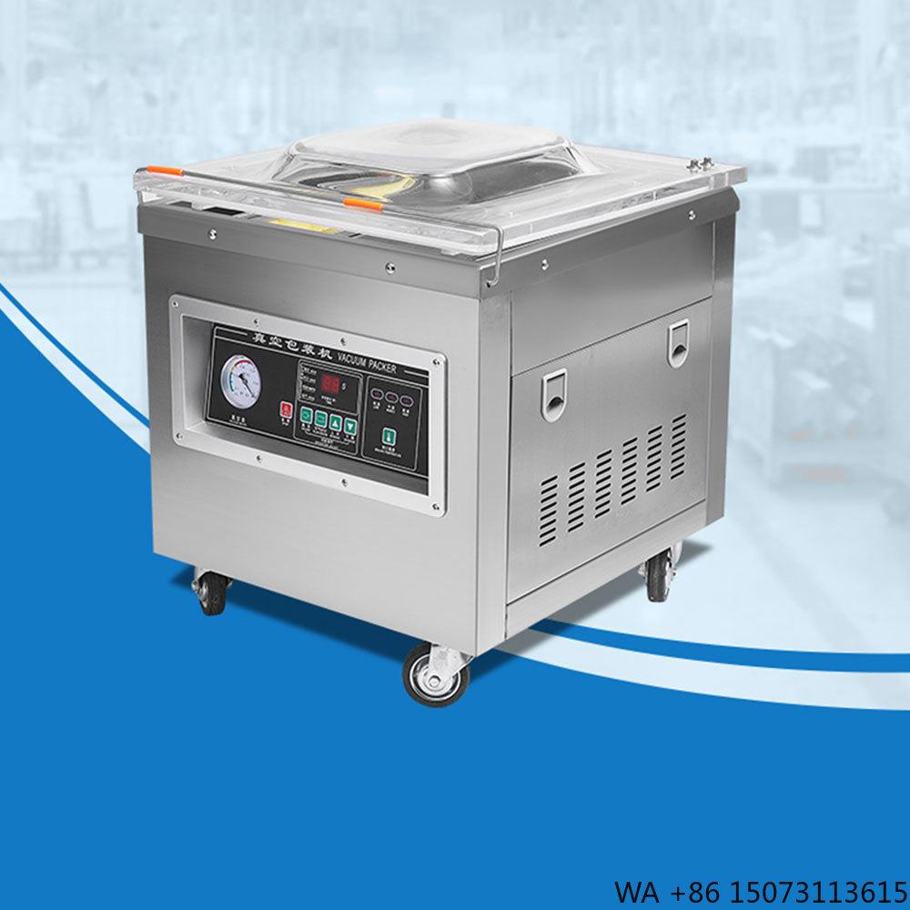 Food Vacuum Sealer - Dz-400 Professionele Desktop Vacuümverpakkingsmachine Automatische Verpakking