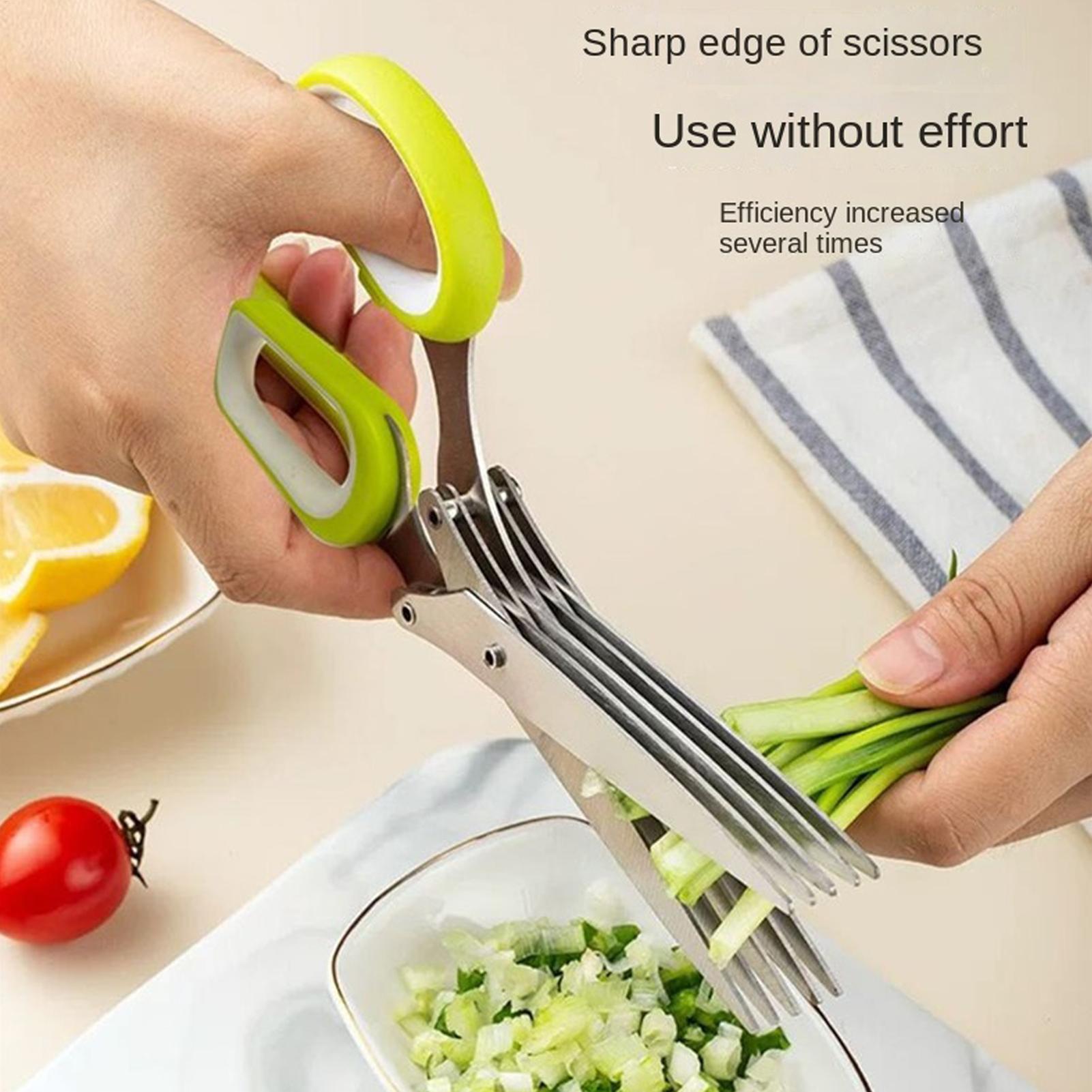 Kruidenschaar met 5 messen van - Herb Scissors 5 Blade recensie en prijs