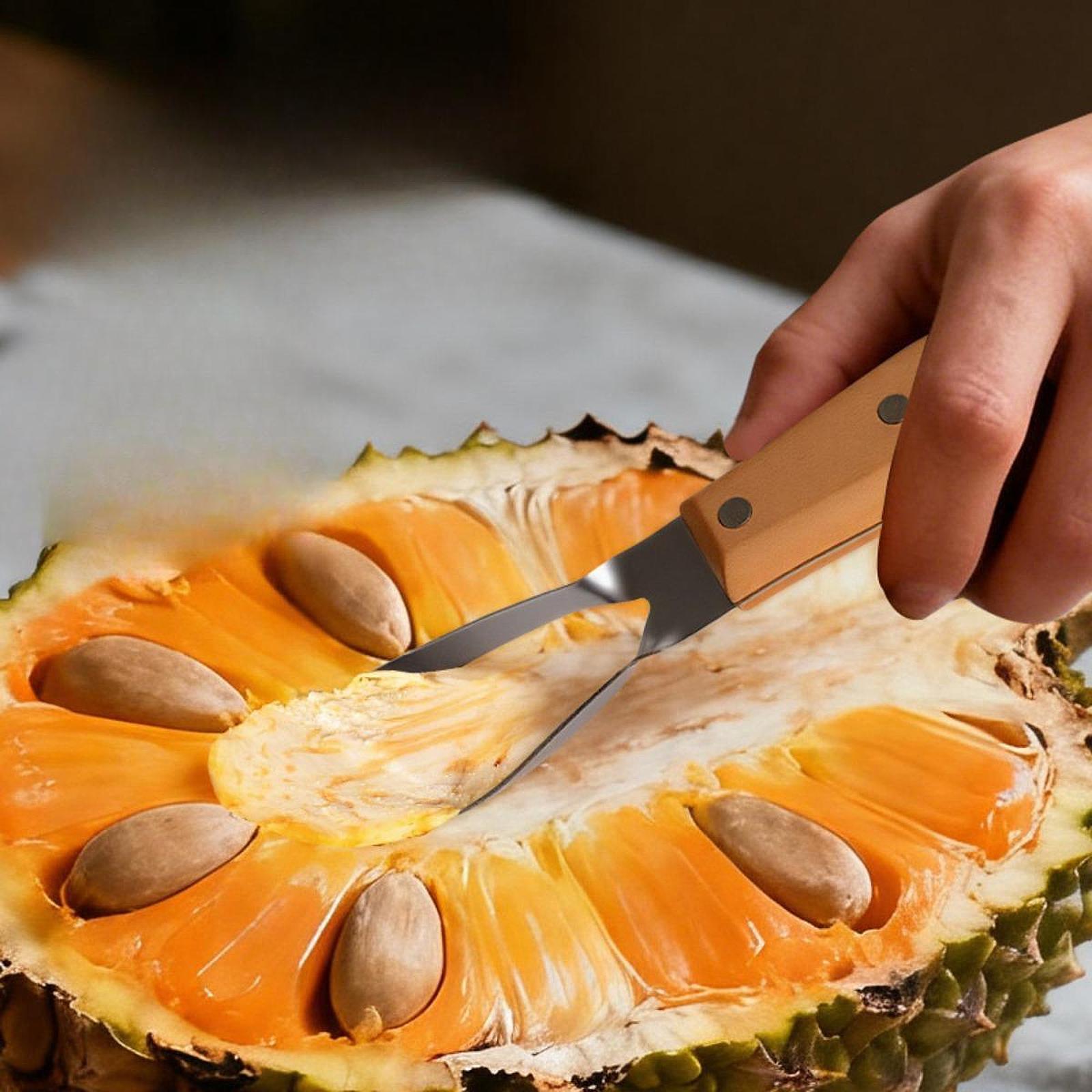 Jackfruit-ontpitter, draagbaar - Kitchen Gadgets Store recensie en prijs