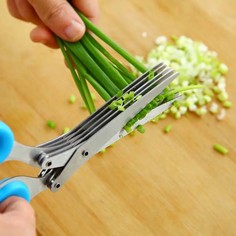 5-Lagen Blade Scallion Schaar  - Herb Scissors 5 Blade recensie en prijs